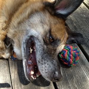 Meet your Posher, Karen